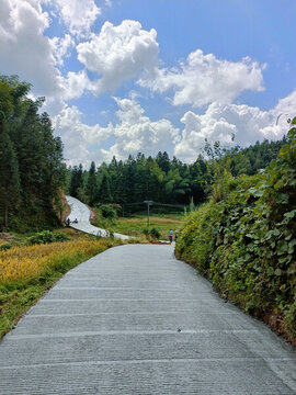 鄉(xiāng)村水泥道路