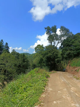 泥巴山路