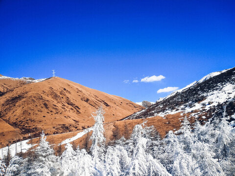 冬季雪景鷓鴣山