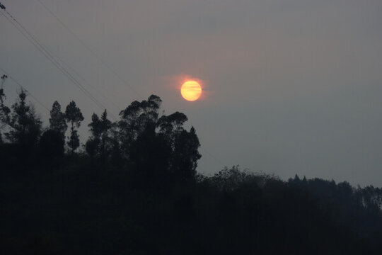 金色太陽(yáng)