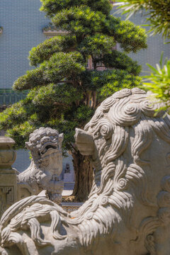 廣州海幢寺環(huán)境