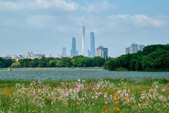 廣州海珠湖公園風光
