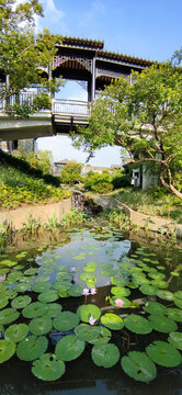 園林景觀