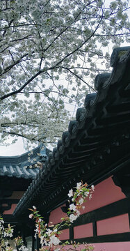 寒山寺