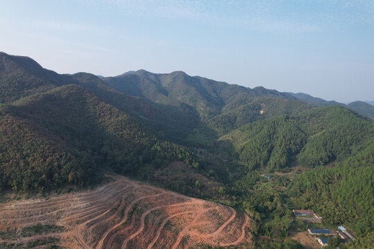 山林