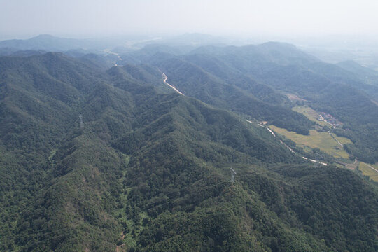山林