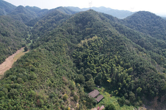 森林大山