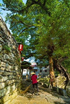 黃姚古鎮(zhèn)