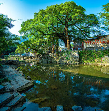 黃姚水岸