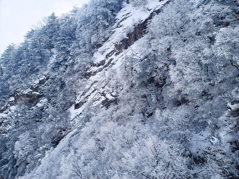 洛陽老君山