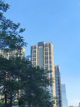 城市綠化