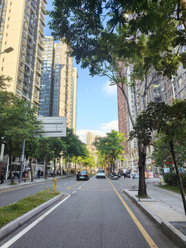 路邊綠化