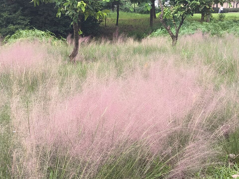 石巖濕地公園