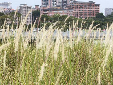 石巖濕地公園
