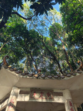 深圳鳳凰山