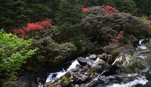 山谷里的溪水