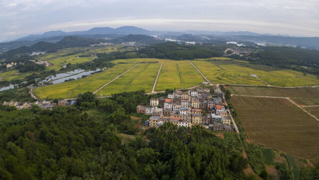 韶關(guān)湞江區(qū)犁市鎮(zhèn)茶山田風(fēng)光
