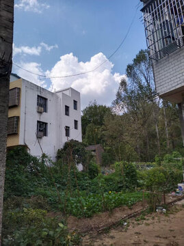 田園