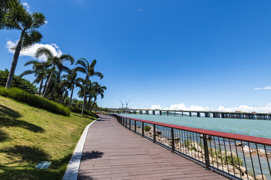 前海灣海濱風(fēng)景