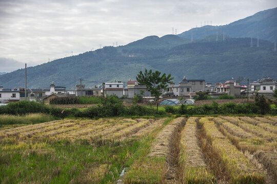 云南紅河個舊大屯田園風(fēng)光