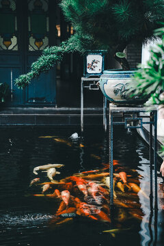 東莞市可園博物館