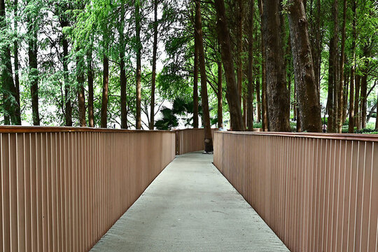林間棧道