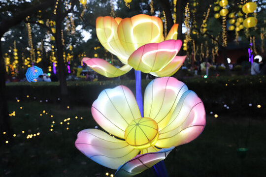 國慶節(jié)日壇公園菊花展燈會