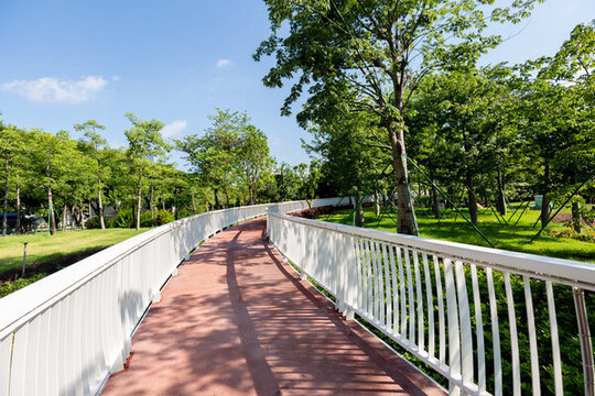 佛山禪城文華公園