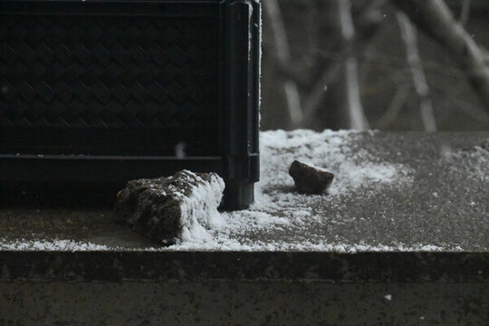 雪