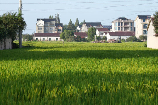 田野里的鄉(xiāng)村住宅