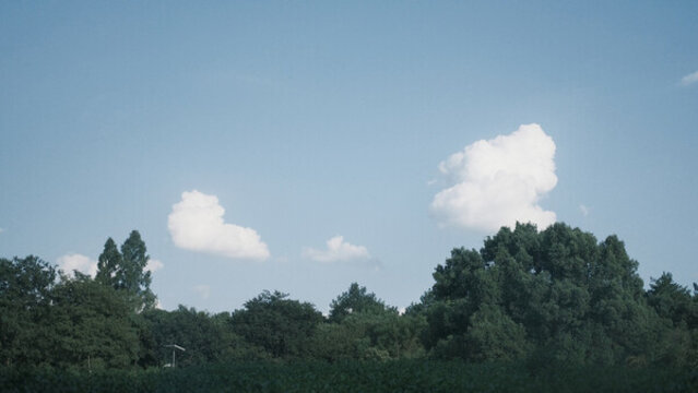 天空云朵襯托著風(fēng)景的樹木
