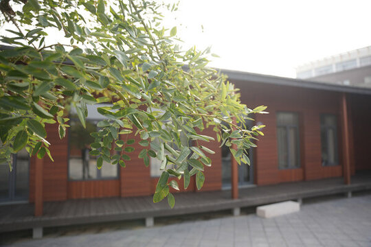 平房