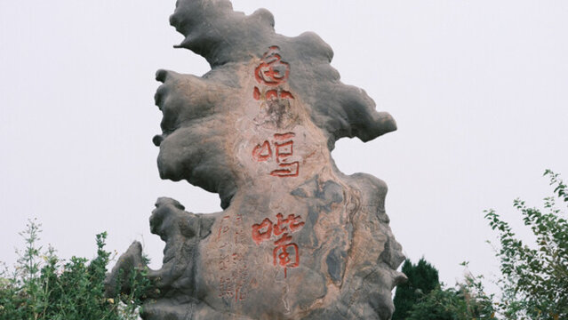 青島魚鳴嘴沙灘
