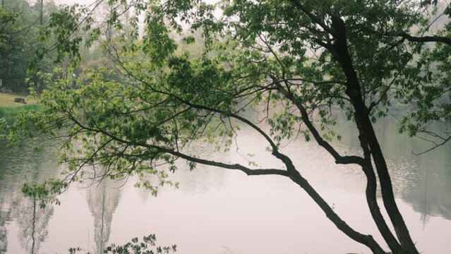 杭州湘湖國家旅游度假區(qū)
