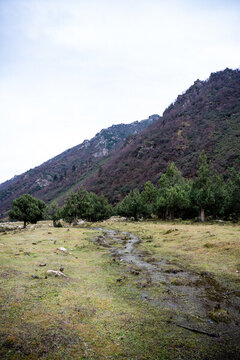 武威天祝冰溝河生態(tài)文化旅游景區(qū)