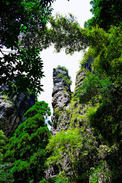 雁蕩山石峰