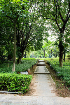 公園小路