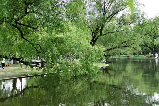 共青森林公園