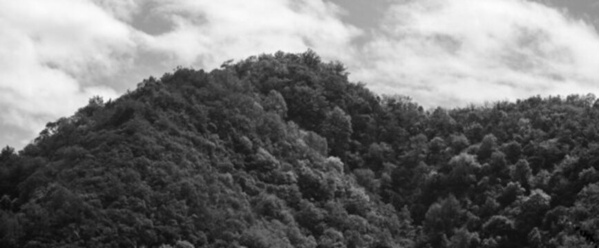 湖北十堰武當(dāng)山