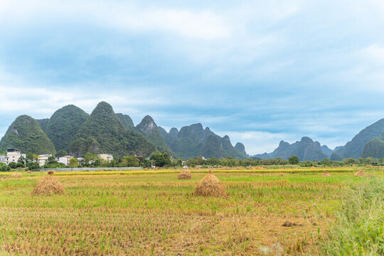 十里畫(huà)廊景區(qū)稻田風(fēng)光