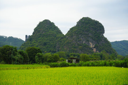 桂林陽朔遇龍河兩岸風光