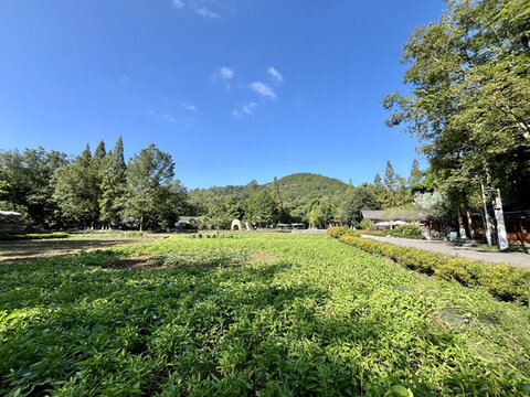 成都崇州道明竹藝村