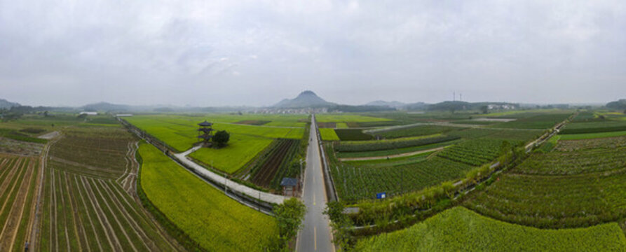 樂昌和村早晨全景