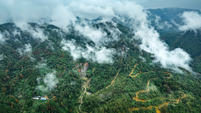 山里人家