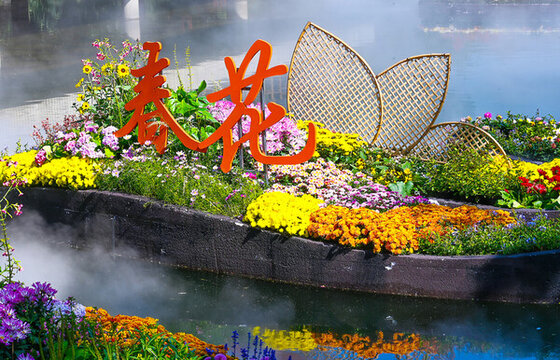夢幻般池塘中的菊花花船