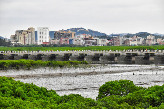 洛陽(yáng)橋