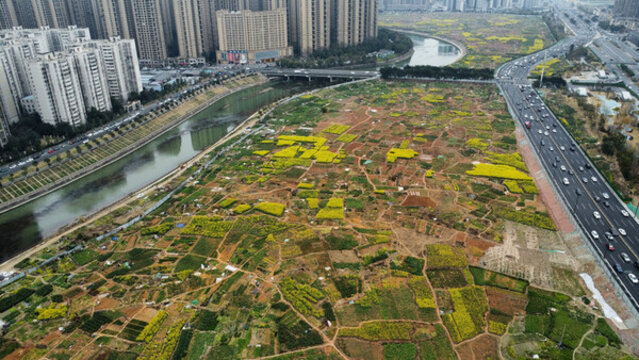 城市航拍