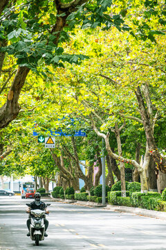 青島大學(xué)路