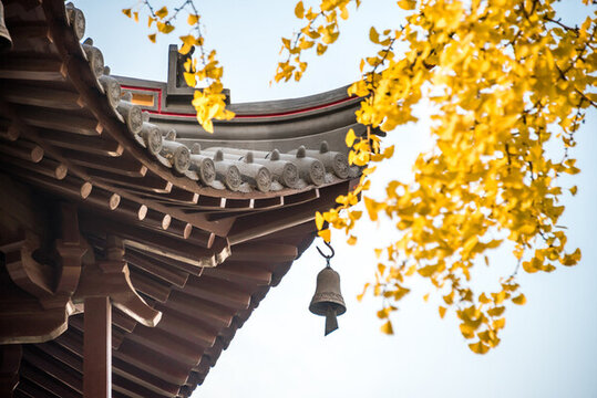 南通天寧寺秋天