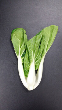 牛皮菜